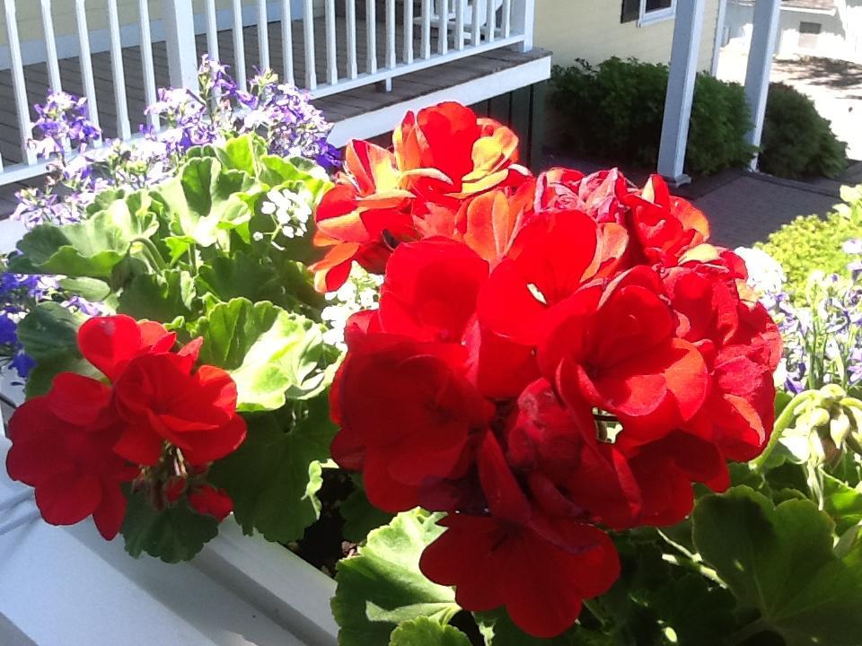 Harbor House Inn Boothbay Harbor Exterior photo